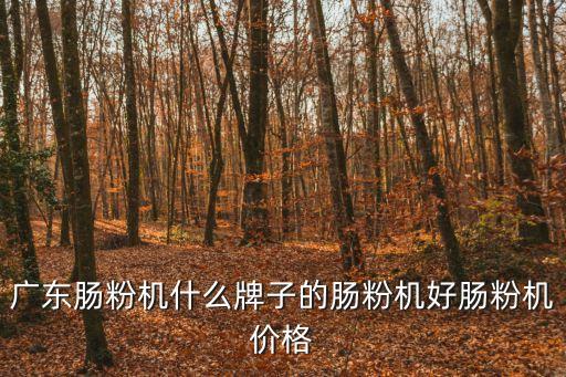 廣東腸粉機什么牌子的腸粉機好腸粉機價格