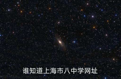 誰知道上海市八中學網址