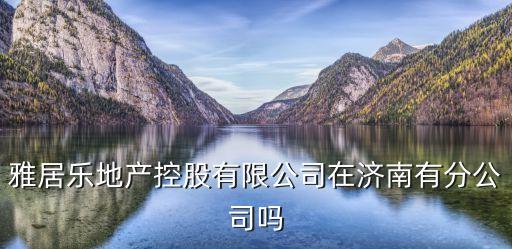 雅居樂地產控股有限公司在濟南有分公司嗎