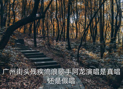 廣州街頭殘疾流浪歌手阿龍演唱是真唱還是假唱
