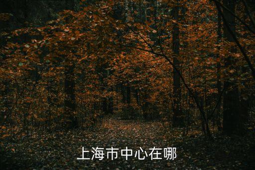 上海市中心在哪