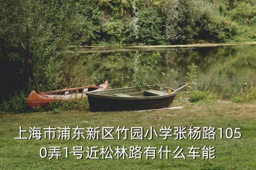 上海市浦東新區民辦竹林小學，有哪位朋友知道2010上海浦東竹園小學的招生范圍就是長島路這里