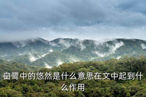 白鷺中的悠然是什么意思在文中起到什么作用
