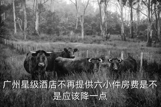 廣州星級(jí)酒店不再提供六小件房費(fèi)是不是應(yīng)該降一點(diǎn)