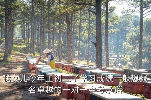 我女兒今年上初三了學(xué)習(xí)成績(jī)一般想報(bào)名卓越的一對(duì)一中考承諾