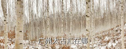 廣州太古匯在哪