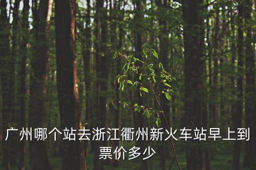 廣州東站到衢州車站，廣州怎么坐車到衢州