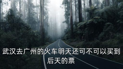 武漢去廣州的火車明天還可不可以買到后天的票