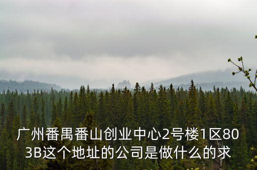 廣州番禺番山創(chuàng)業(yè)中心2號(hào)樓1區(qū)803B這個(gè)地址的公司是做什么的求