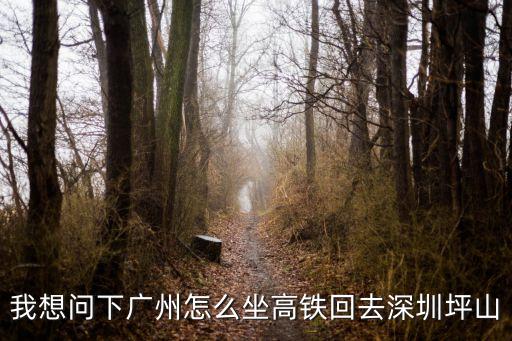 我想問下廣州怎么坐高鐵回去深圳坪山