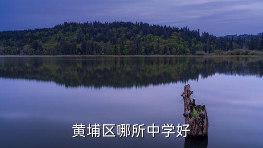 黃埔區(qū)哪所中學好