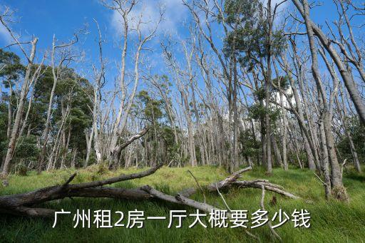 廣州北亭二室一廳出租，廣州大學城北亭廣場租房