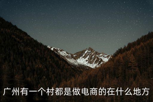 廣州有一個(gè)村都是做電商的在什么地方
