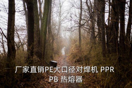 廠家直銷PE大口徑對焊機 PPR PB 熱熔器