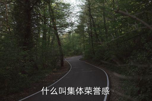 集體榮譽感，什么叫集體榮譽感
