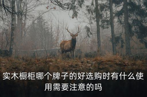 實木櫥柜哪個牌子的好選購時有什么使用需要注意的嗎