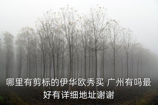 哪里有剪標的伊華歐秀買 廣州有嗎最好有詳細地址謝謝