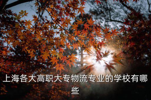 上海各大高職大專物流專業的學校有哪些