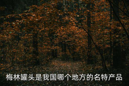 梅林罐頭是我國哪個地方的名特產品