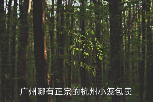 廣州哪有正宗的杭州小籠包賣