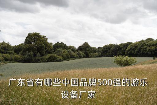 廣東省有哪些中國品牌500強的游樂設備廠家