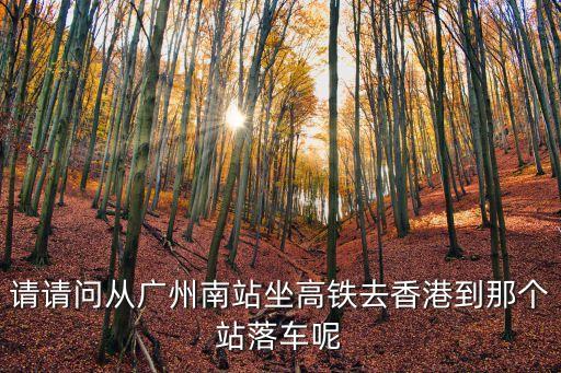 請請問從廣州南站坐高鐵去香港到那個站落車呢