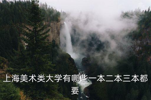 上海美術(shù)類大學(xué)有哪些一本二本三本都要