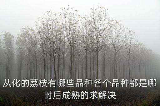 從化的荔枝有哪些品種各個品種都是哪時后成熟的求解決