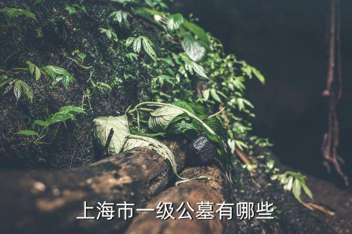 上海市各陵墓，上海有哪些墓地