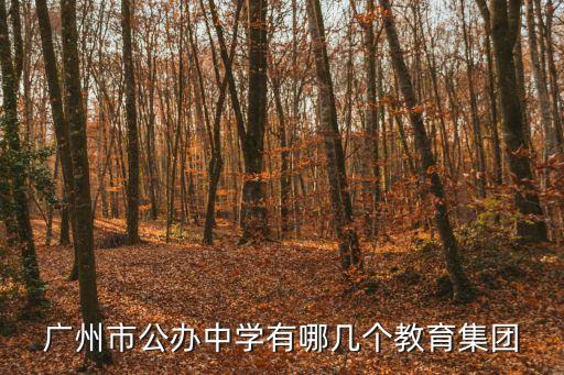 廣州市公辦中學有哪幾個教育集團