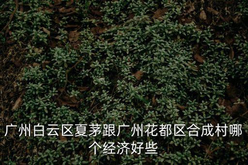 廣州白云區夏茅跟廣州花都區合成村哪個經濟好些
