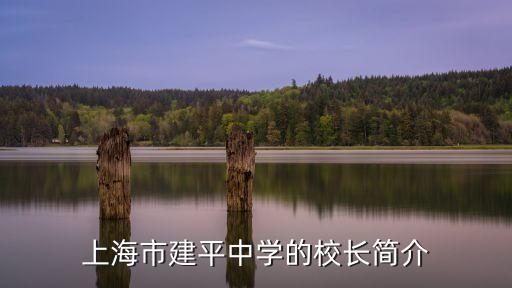 上海市李輝，現在上海副市長是誰