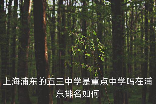 上海浦東的五三中學(xué)是重點(diǎn)中學(xué)嗎在浦東排名如何