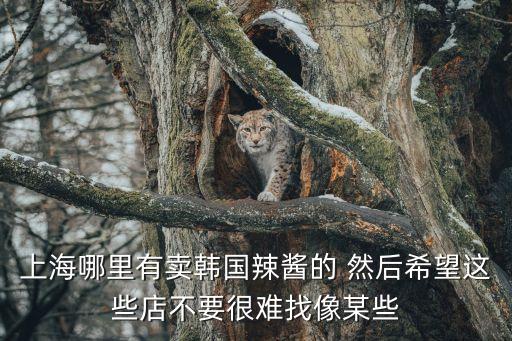 上海市辣醬油，蘇州哪里有買上海辣醬油