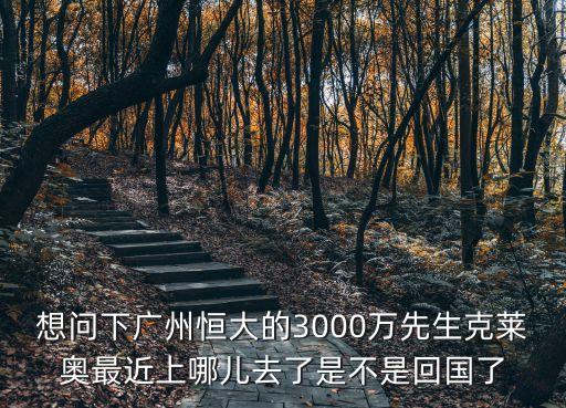 想問下廣州恒大的3000萬先生克萊奧最近上哪兒去了是不是回國了