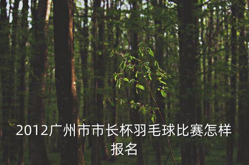 2012廣州市市長杯羽毛球比賽怎樣報名