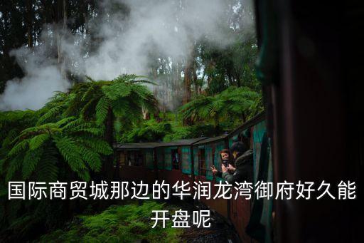 國際商貿城那邊的華潤龍灣御府好久能開盤呢