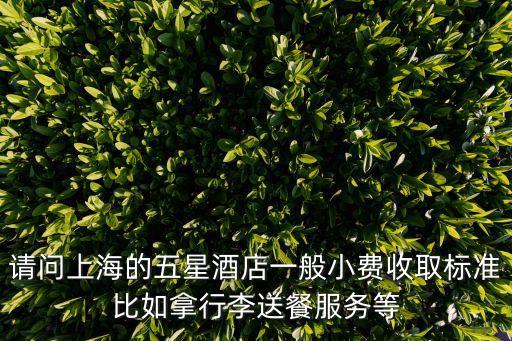 請問上海的五星酒店一般小費收取標準比如拿行李送餐服務等