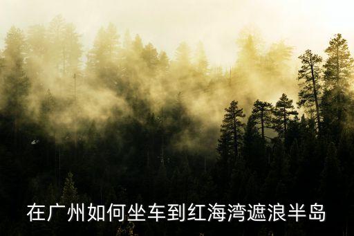 在廣州如何坐車到紅海灣遮浪半島