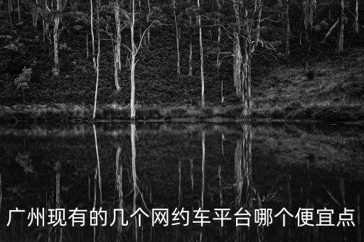 廣州現(xiàn)有的幾個網(wǎng)約車平臺哪個便宜點
