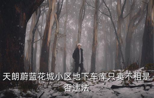 天朗蔚藍(lán)花城小區(qū)地下車庫只賣不租是否違法