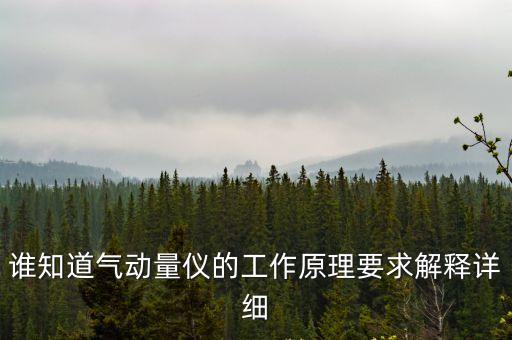 誰知道氣動量儀的工作原理要求解釋詳細