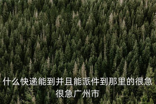 什么快遞能到并且能派件到那里的很急很急廣州市