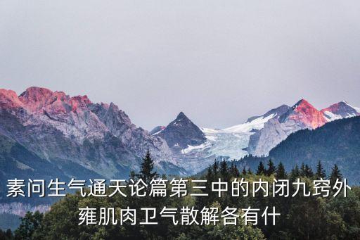 生氣通天論，素問生氣通天論篇第三中的內閉九竅外雍肌肉衛氣散解各有什