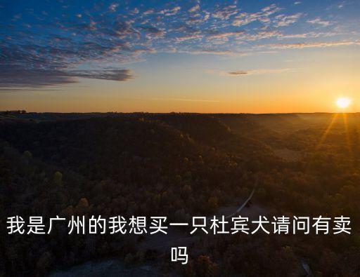 我是廣州的我想買一只杜賓犬請問有賣嗎