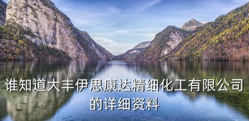 上海市大豐精細化工產品，十年來接觸化纖維原料工業精苯二甲酸pta二氧化鈦TIQ