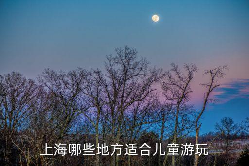 上海市適合兒童旅游景點，上海有哪些好玩的地方適合帶小孩子的