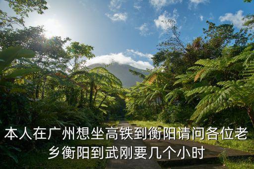 本人在廣州想坐高鐵到衡陽請問各位老鄉衡陽到武剛要幾個小時