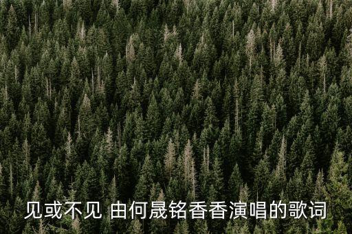 見或不見 由何晟銘香香演唱的歌詞