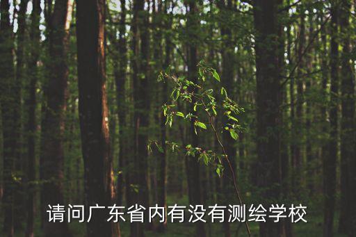 請問廣東省內有沒有測繪學校